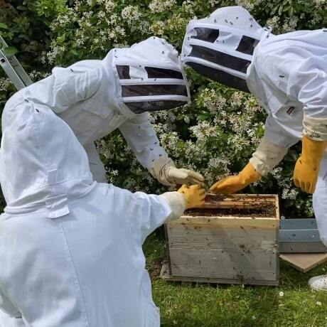 La biodiversité