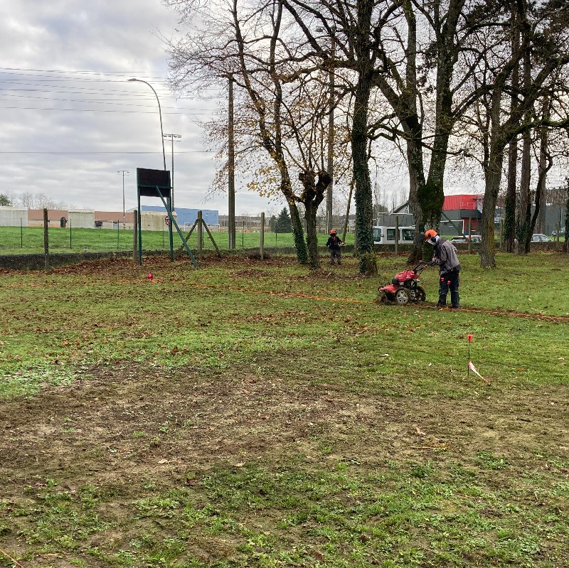 Apprentis d'auteuil