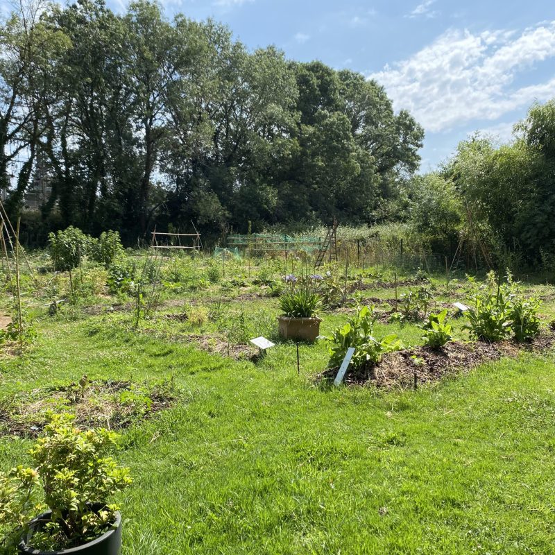 potager de la gare