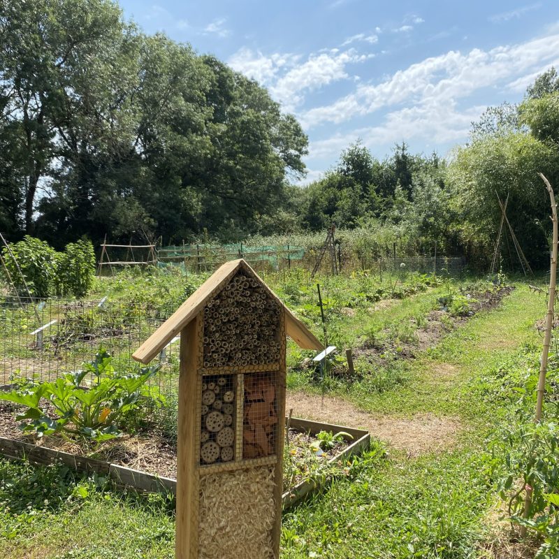 potager de la gare