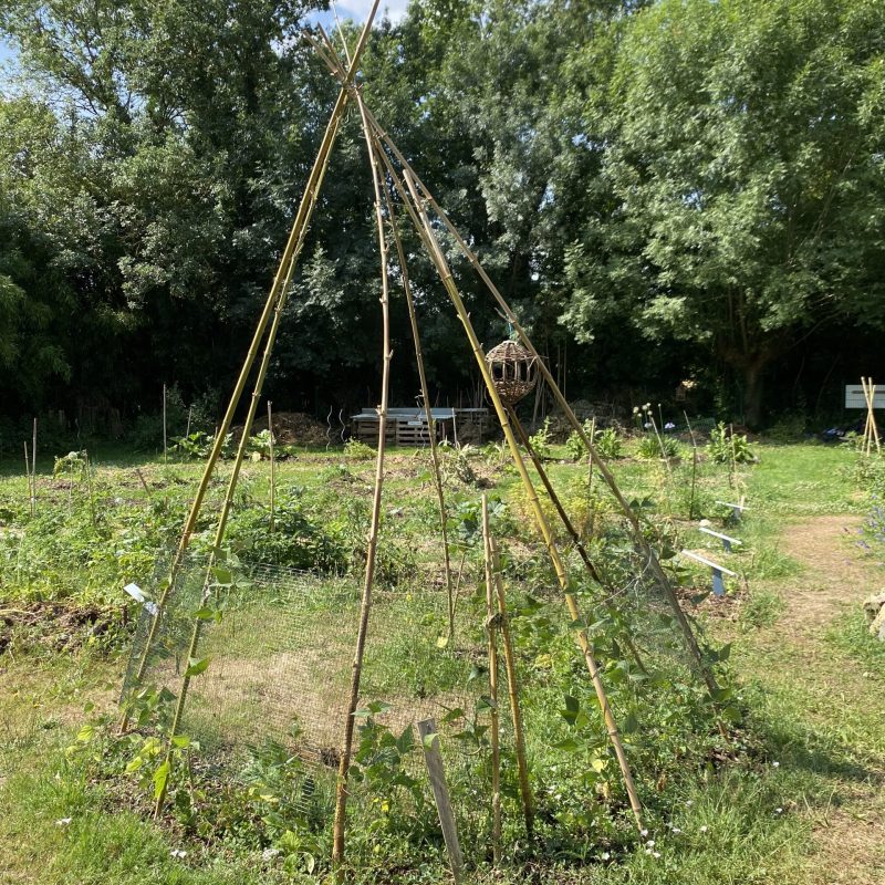 potager de la gare