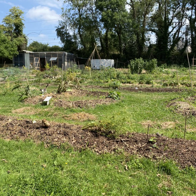 potager de la gare