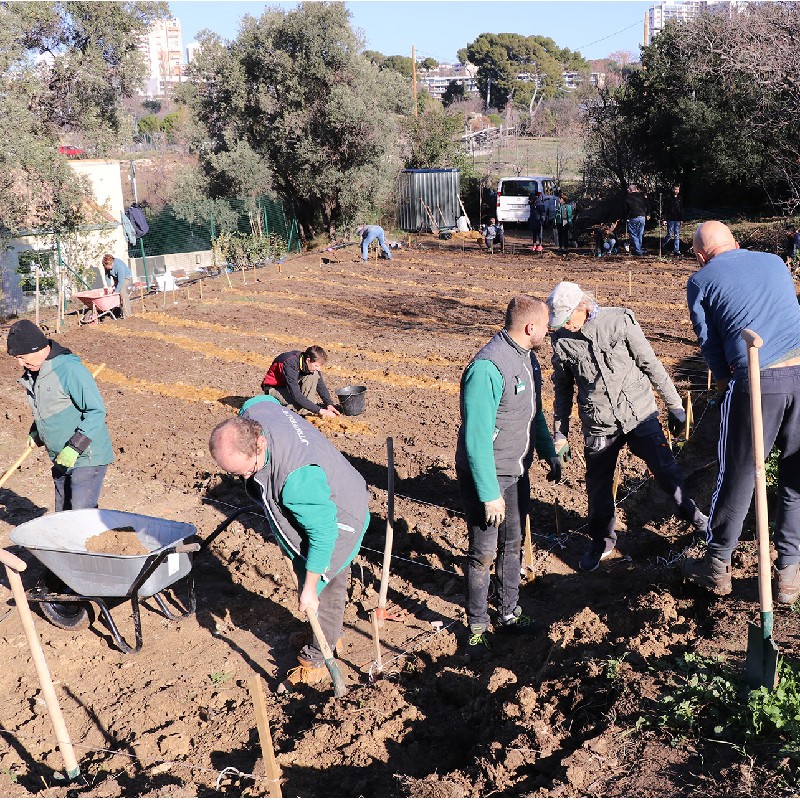 VVOUM - Chantier nature