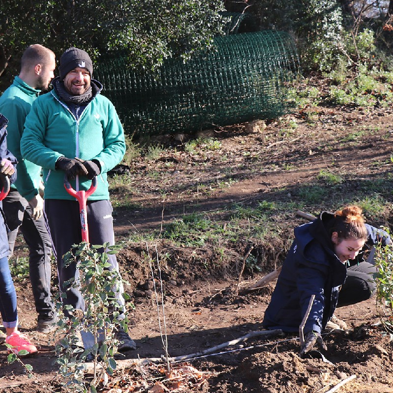 VVOUM - Chantier nature