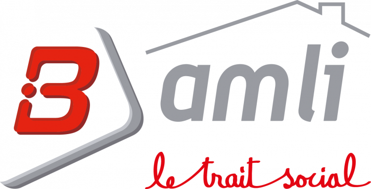 AMLI : Association pour l'accompagnement, le Mieux-être et le Logement des Isolés