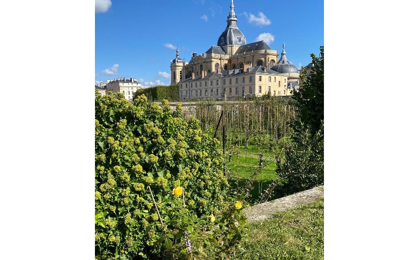 Amis du Potager du Roi