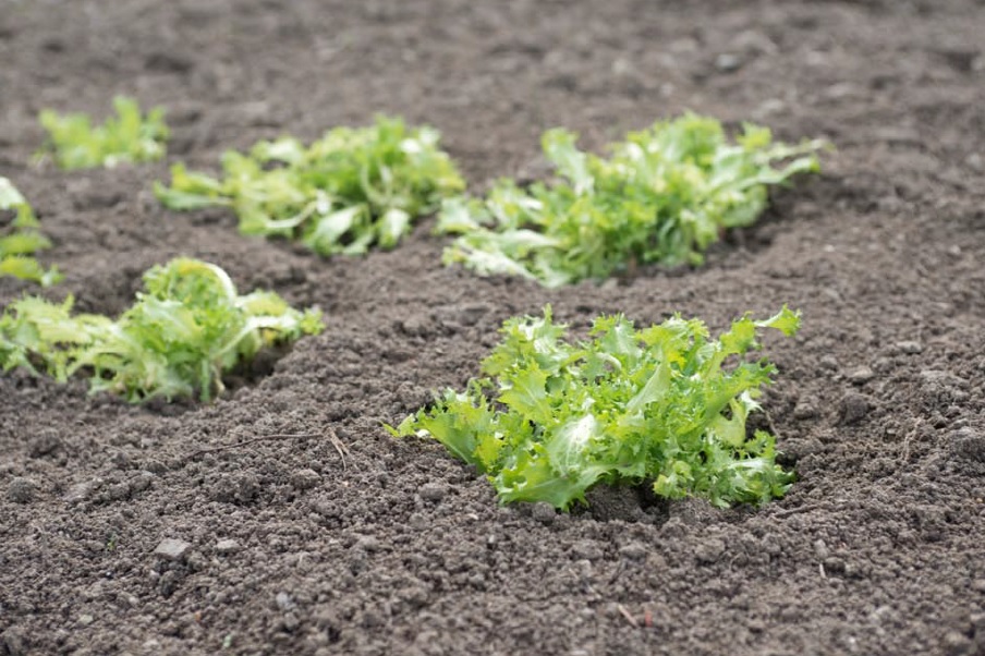 Le jardin pot'âgés du vallon des garettes